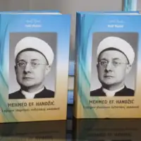Mehmed handzic 41jpg