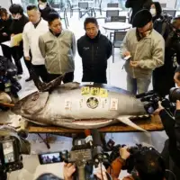 Japan tuna 1,3 miliona eura Foto: Reuters