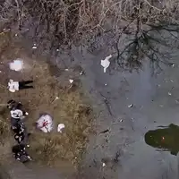 hrvatska na području Novske migranti spasavanje