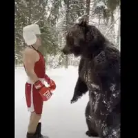 Bokser za sparing partnera izabrao medvjeda