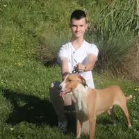 Pas iz BiH najljepši na svijetu