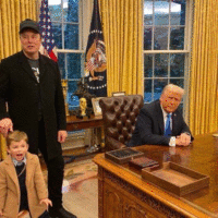 Musk i trump
