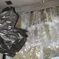 Droga Na granici Srbije s Hrvatskom zaplijenjeno oko 11 kilograma marihuane