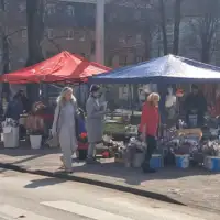 Vogosca 8 martjpg