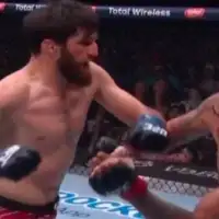 Magomed Ankalaev Alex Pereira