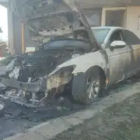 Auto paljevina