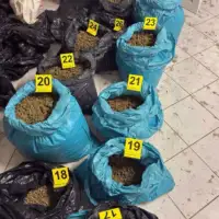 Droga srbija