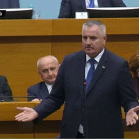 Radovan Viskovic