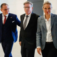 Afd