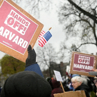 Harvard