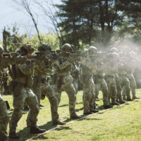 eufor bih/ eufor