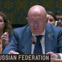 Ruski ambasador un