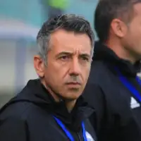 nedim jusufbegovic