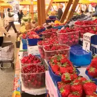 Pijaca cijene voca povrca jagode