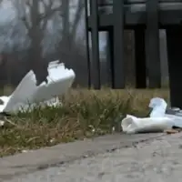 Smece