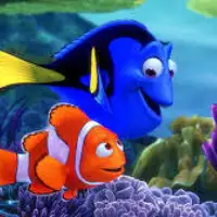 Nemo 1