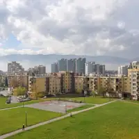 Alipasino polje