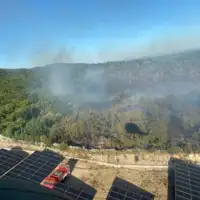 Grude pozar hercegovina/ osbih