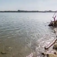 Zemun