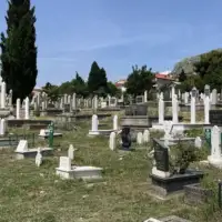Sarica harem