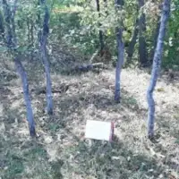ekshumacija