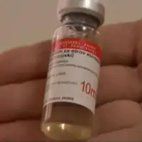 Serum Zmija