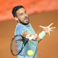 Damir Dzumhur