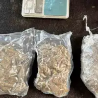 Gracanica zaplijenjeno pet kilograma droge policija uhapsila jednu osobu