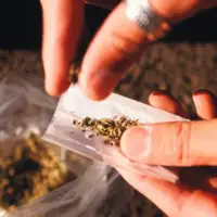 Marihuana