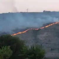 PO Zar buna