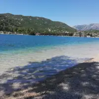ploce morr