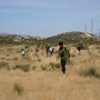 Azil