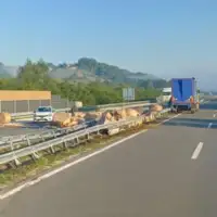 Kamion Kladari Prnjavor