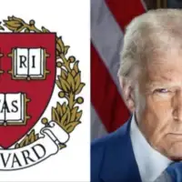 Harvard donald trump X