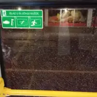 Razbijeno staklo na novom trolejbusu 1