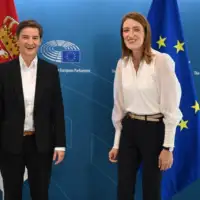 Brnabic metsoli