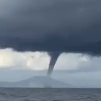 Pijavice Hrvatska