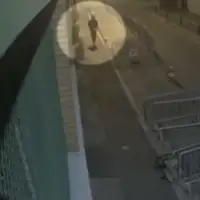 Pariz svinjska glava