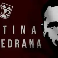 Vedran Puljic