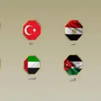Islamske Zastave 8 zemalja