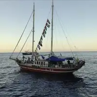 flotila Izrael je priveo sve aktiviste koji su bili dio flotile za Gazu