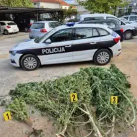 Čitluk droga