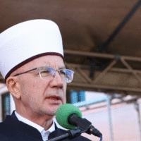 Vahid ef fazlovic vahid