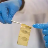 Agencija za forenzička ispitivanja i vještačenja