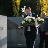 Elmedin konakovic