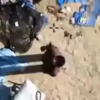Izrael pokrece novi napad na Gazu