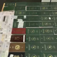 Pasosi 1761907510