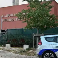 Francuska pljacka 11