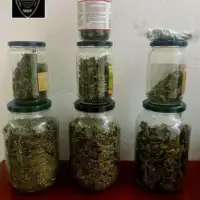 Marihuana mostar 1762253286