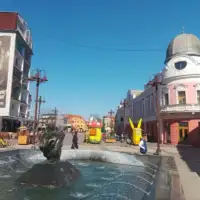 Brcko Fena
